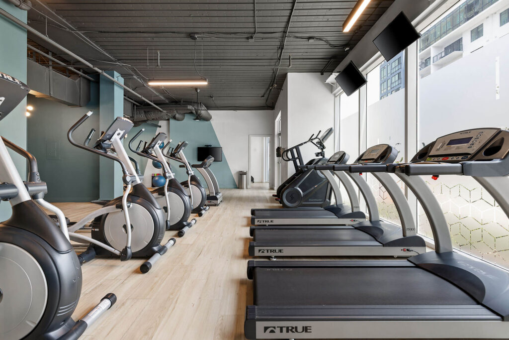 A modern gym with several treadmills and elliptical machines facing large windows, light wood flooring, and teal accent walls. Bright natural light streams in from the windows.